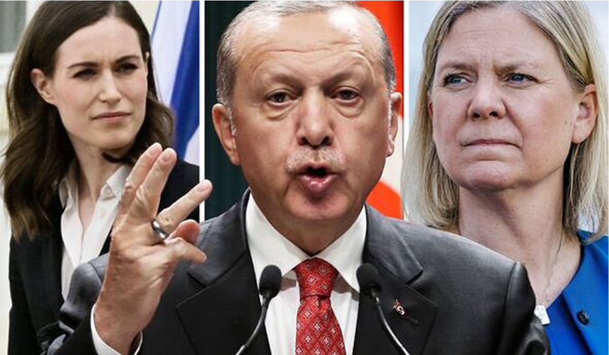 Turkey supports Finland and Sweden Nato bid